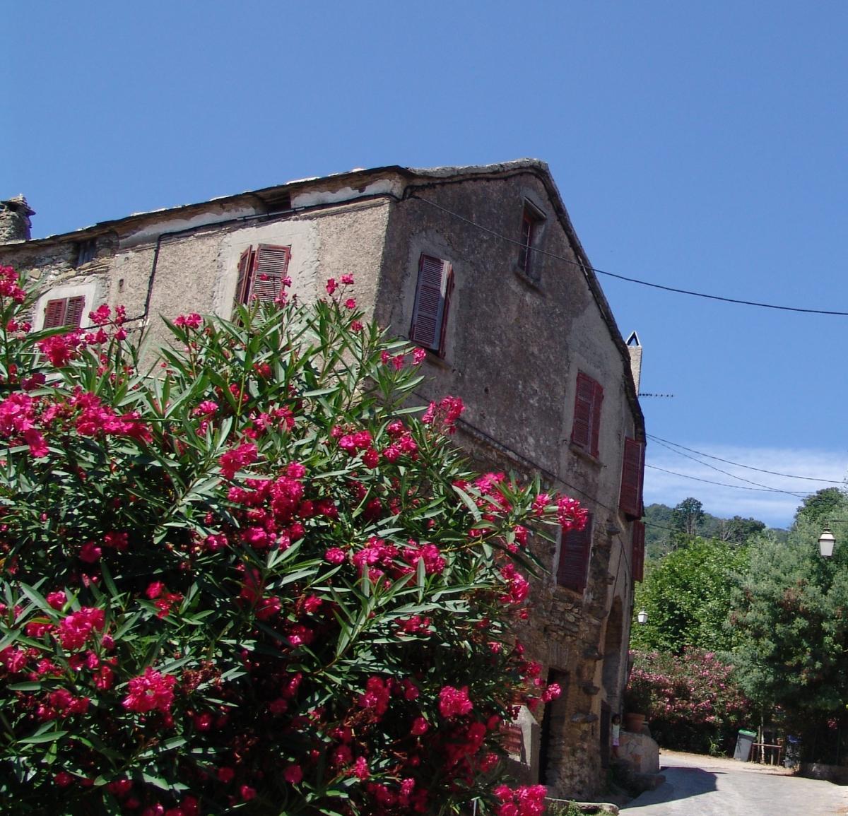 Village de Porri - Image 2